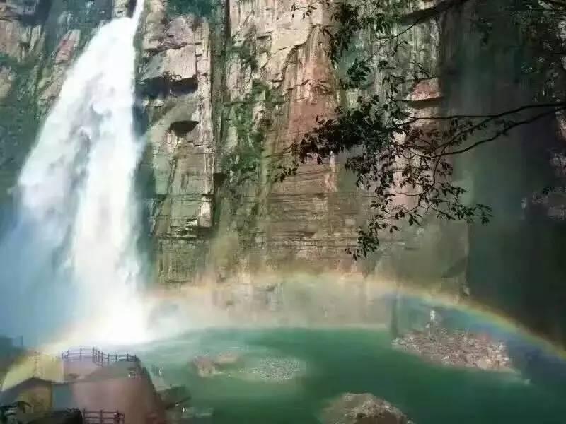 逗小猴开心系列203
